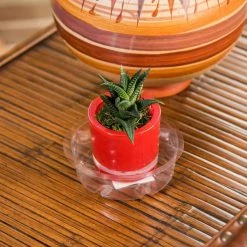 Vigoro 4 in. Plastic Plant Saucer -Vigoro Platers Store vigoro planter saucers vs4vg 4f 1000