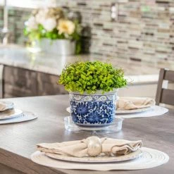 Vigoro 6 in. Plastic Plant Saucer -Vigoro Platers Store vigoro planter saucers vs6vg 1f 1000