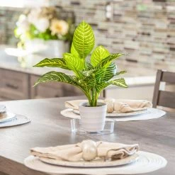 Vigoro 6 in. Plastic Plant Saucer -Vigoro Platers Store vigoro planter saucers vs6vg 4f 1000