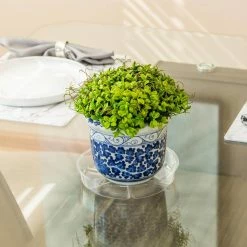 Vigoro 8 in. Plastic Plant Saucer -Vigoro Platers Store vigoro planter saucers vs8vg 4f 1000