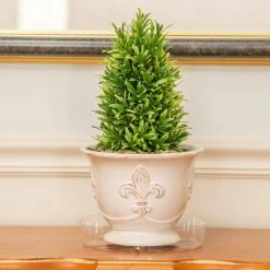 Vigoro 8 in. Plastic Plant Saucer -Vigoro Platers Store vigoro planter saucers vs8vg fa 1000