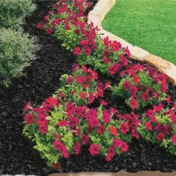 Vigoro 37.5 cu. ft. Black Recycled Rubber Mulch (25 Bags) 14 Vigoro 37.5 cu. ft. Black Recycled Rubber Mulch (25 Bags) -Vigoro Platers Store vigoro rubber mulch gn15bk25 c3 1000