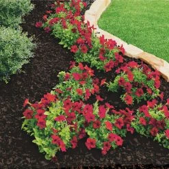 Vigoro 37.5 cu. ft. Brown Recycled Rubber Mulch (25 Bags) 14 Vigoro 37.5 cu. ft. Brown Recycled Rubber Mulch (25 Bags) -Vigoro Platers Store vigoro rubber mulch gn15bn25 c3 1000