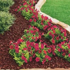 Vigoro 37.5 cu. ft. Red Recycled Rubber Mulch (25 Bags) 14 Vigoro 37.5 cu. ft. Red Recycled Rubber Mulch (25 Bags) -Vigoro Platers Store vigoro rubber mulch gn15rd25 c3 1000