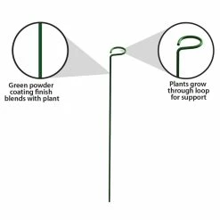 Vigoro 18 in. H x 1.50 in. W Steel Plant Prop -Vigoro Platers Store vigoro tomato cages 611872 hd 1f 1000