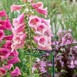 Vigoro 36 in. H x 2.24 in. W Metal Plant Prop -Vigoro Platers Store vigoro tomato cages 613672 hd fa 1000