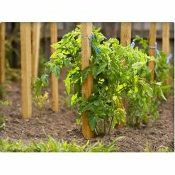 Vigoro 5 ft. Wooden Garden Stake -Vigoro Platers Store vigoro tomato cages rc 85n 4f 1000
