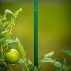 Vigoro 3 ft. Green Colored Steel Core Garden Stake 17 Vigoro 3 ft. Green Colored Steel Core Garden Stake -Vigoro Platers Store vigoro tomato cages st3vg 76 1000