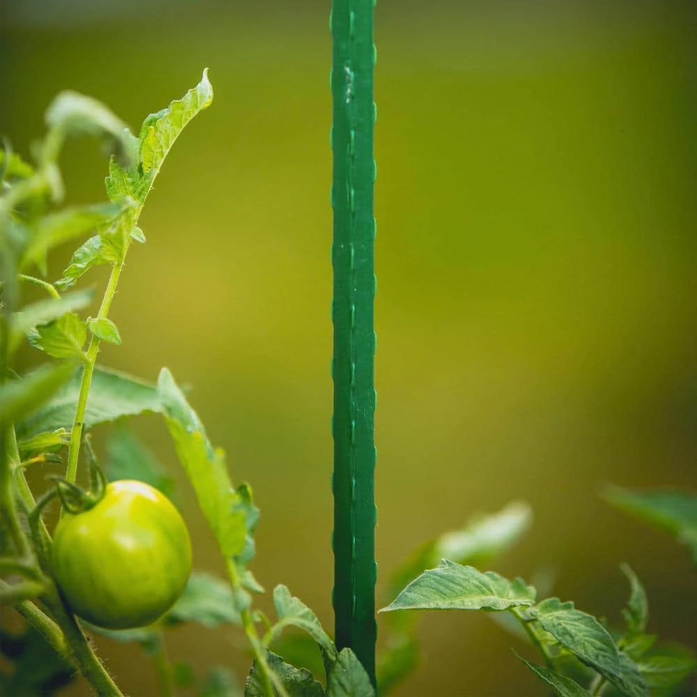 Vigoro 3 ft. Green Colored Steel Core Garden Stake 10 Vigoro 3 ft. Green Colored Steel Core Garden Stake - Image 8