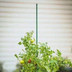 Vigoro 6 ft. Green Colored Steel Core Garden Stake 14 Vigoro 6 ft. Green Colored Steel Core Garden Stake -Vigoro Platers Store vigoro tomato cages st6vg 66 1000