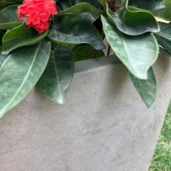 KANTE 31 in. L Rectangular Weathered Concrete/Fiberglass Indoor Outdoor Elegant Planter -Vigoro Platers Store weathered concrete kante plant pots osf0104b c80021 2 44 1000