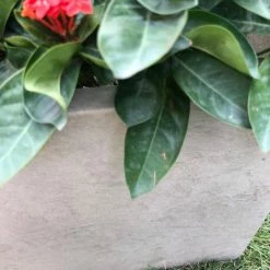 KANTE 31 in. L Rectangular Weathered Concrete/Fiberglass Indoor Outdoor Elegant Planter -Vigoro Platers Store weathered concrete kante plant pots osf0104b c80021 2 fa 1000