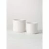 SULLIVANS White Ceramic Planter (Set of 2) -Vigoro Platers Store white sullivans plant pots cm2952 64 1000