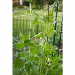 Vigoro 5 ft. x 8 ft. Sturdy Garden Trellis -Vigoro Platers Store white vigoro tomato cages t008avg 1f 1000