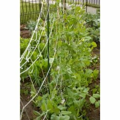 Vigoro 5 ft. x 8 ft. Sturdy Garden Trellis -Vigoro Platers Store white vigoro tomato cages t008avg 44 1000