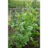 Vigoro 5 ft. x 8 ft. Sturdy Garden Trellis