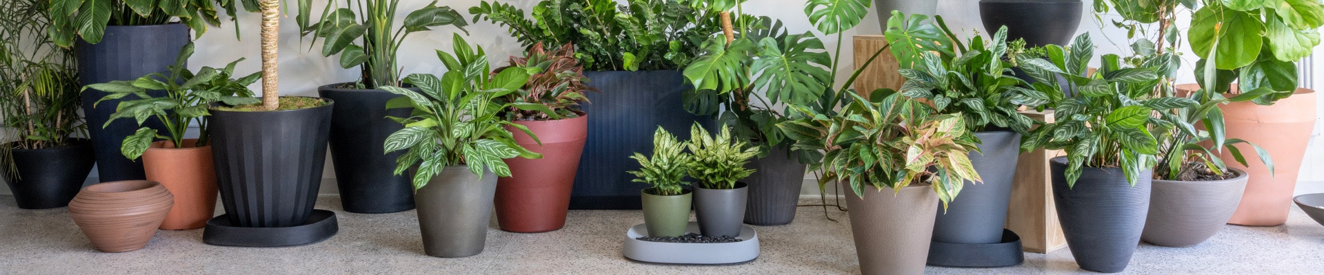 Vigoro Platers Store -Vigoro Platers Store Indoor Outdoor Planters for All Planters Banner