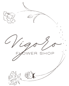 Vigoro Platers Store